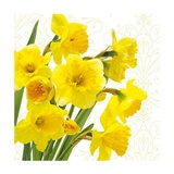 Салфетка для декупажа 33*33 см. Yellow Daffodils SDL280000