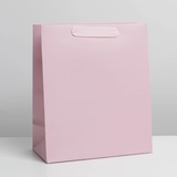 Пакет ламинат "Розовый" 18*23*10 см. 7304167