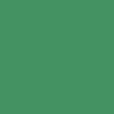 FOLIA Бумага А4, 130 гр/м2, Зеленый мох. 64/2053