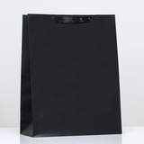 Пакет ламинированный «Чёрный», L 31 × 40 × 14 см    9494147