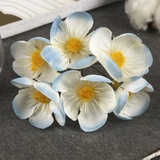 Декор для творчества "Плюмерия голубо-белая" 6 цветков. 3609982