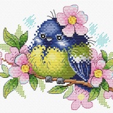 Набор для вышивания "Жар-птица" Романтичная пташка 13*17 см  M-554