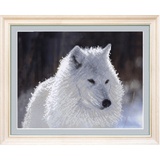 Схема для вышивания бисером на авторской канве "Белый волк"