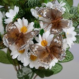 Декор бабочка на прищепке 5+8 см коричневый, 1 шт, МИКС   7576156