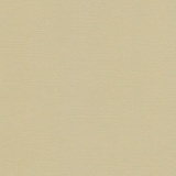 SCB Кардсток текстурированный 30,5*30,5 см. 216  гр/м, Светло-оливковый SCB172312084