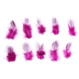 Набор перьев для декора 5*2 см, 10 шт. Розовый с черным 1250977