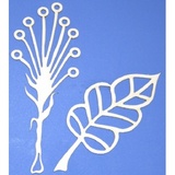 Чипборд картонный "Набор: Листья". ARTCHB002359