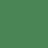 Рукоделие Лист вспененной резины 2 мм, 210*297 мм Фоамиран. Зеленый F2-05 (зеленый)