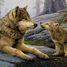 Рисование по номерам 40*50 cm Семья волков GX21464