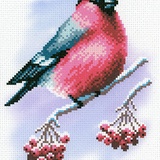 Набор для вышивания Румяная пташка 30*21 см. CK-028