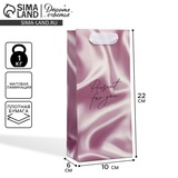 Пакет ламинированный Present for you, 10 × 22 × 6 см   9590658
