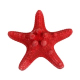 Декоративная морская звезда 1 шт. Цв. красный MZF-001/03