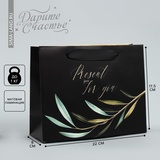 Пакет ламинированный горизонтальный «Present just for you», 22 × 17.5 × 8 см   4766885