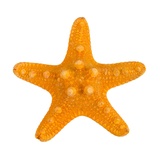 Декоративная морская звезда 1 шт. Цв. оранжевый MZF-001/02