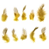 Набор перьев для декора 5*2 см, 10 шт. Желтый с коричневым 1250972